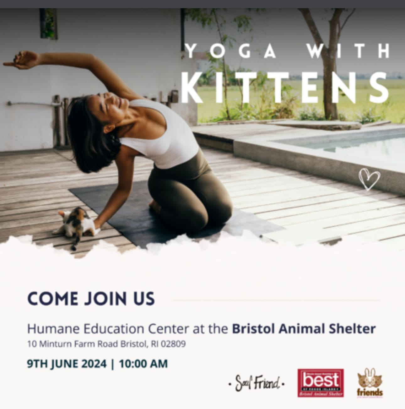 Donation-Kitten Yoga